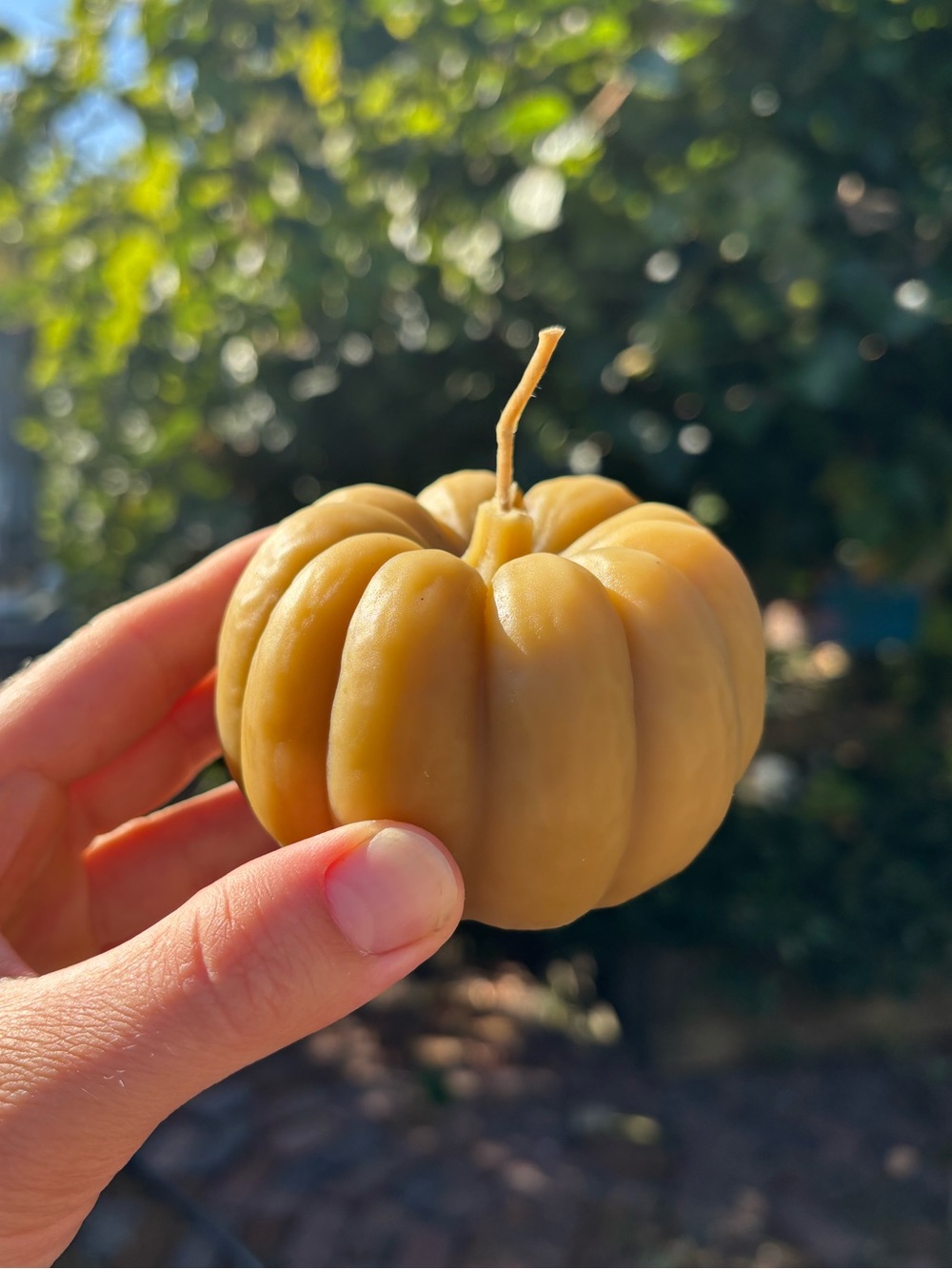 100% Beeswax Non-Toxic “Pumpkin” Handmade Candle